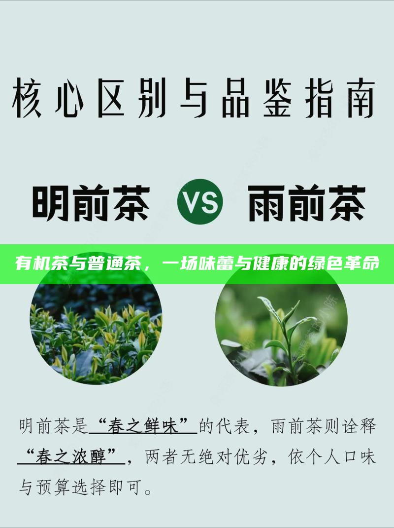 有机茶与普通茶,一场味蕾与健康的绿色革命